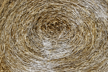 circle thatch texture and wallpaper