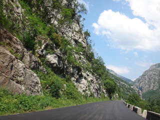 Трасса в горах, покрытых зеленью