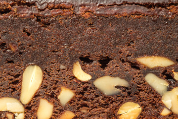 Close-up of chocolate cake with nuts for use as an abstract back