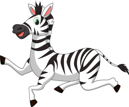 cute zebra cartoon