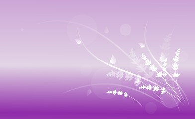 Purple lavender background