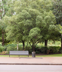Empty Bench in Park