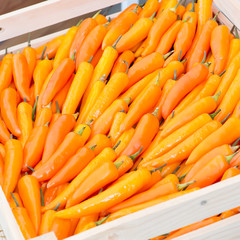 Yellow Peppers  in basket