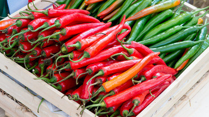 Chili Peppers in basket