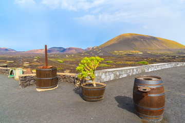 Wine oak barrels on black volcanic soil in La Geria winery, Lanzarote, Canary Islands, Spain