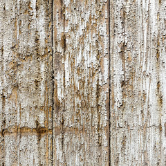Obraz premium paint at wood