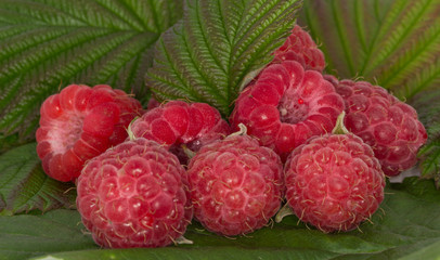 raspberry