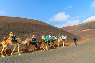 Caravan of camels with tourists in Timanfaya National Park, Lanzarote, Canary Islands, Spain