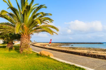 Rolgordijnen Palm tree on coastal promenade along a beach in Costa Teguise, Lanzarote, Canary Islands, Spain © pkazmierczak