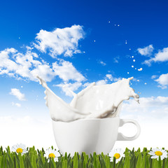 Milk Splash From Glass With Outdoor Scene