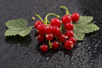 Red Currant close up
