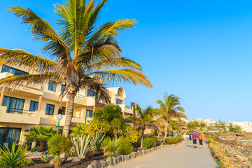 Fototapeta na wymiar Palm trees and hotel buildings along coastal promenade in Playa Blanca village, Lanzarote, Canary Islands, Spain