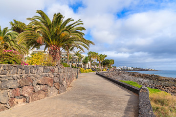 Coastal promenade with palm trees in Playa Blanca village, Lanzarote, Canary Islands, Spain © pkazmierczak