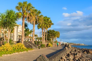 Poster Palm trees on coast of Lanzarote island in Playa Blanca holiday village, Canary Islands, Spain © pkazmierczak