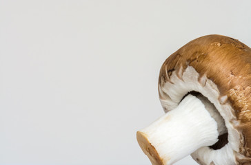 Champignons
