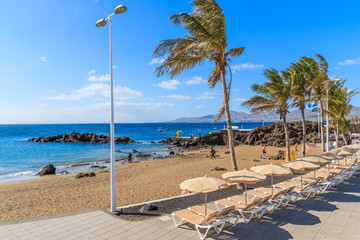 Tropical beach with palm trees and sunbeds in Puerto del Carmen, Lanzarote, Canary Islands, Spain