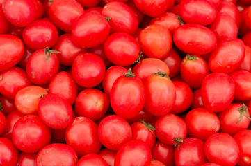 Fresh red tomatoes