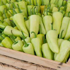 Chili Peppers in basket