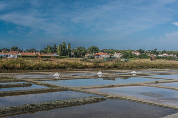 marais salants