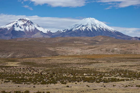 Snow and ice covered peaks of the volcanoes Parinacota (6342m) and Pomerape (6240m) rising above the Altiplano of Northern Chile in Lauca National Park.