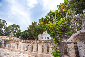 Tunisia. 