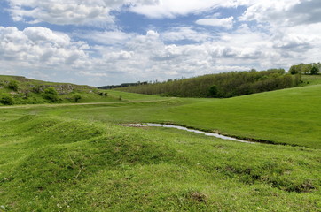 Background of field with grass, bush and trees , Zavet, Bulgaria 