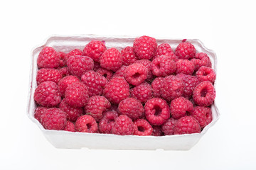 A beautiful selection of freshly picked ripe red raspberries.