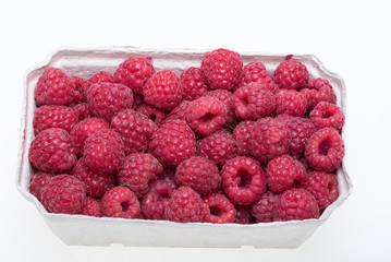 A beautiful selection of freshly picked ripe red raspberries.
