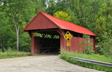 Fototapeta na wymiar Red Covered Bridge