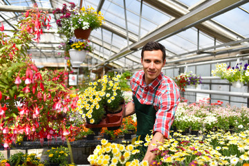 Gärtner mit Blumen in einem Gewächshaus // Gardener with flowers in a greenhouse