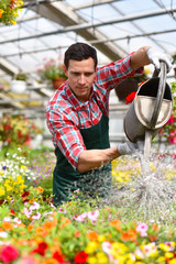 Gärtner gießt Blumen in einem Gewächshaus // Gardener pours flowers in a greenhouse