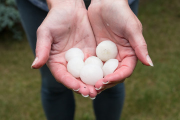 Hail in hands
