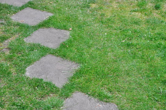 Fototapeta path in grass