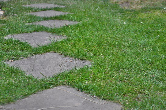 Fototapeta path in grass