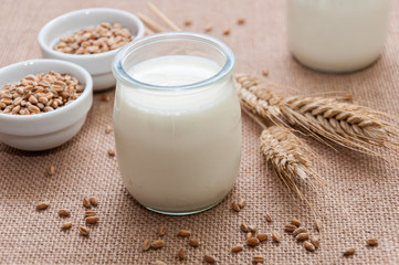 Yogur natural