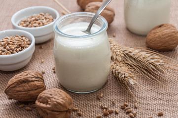 Yogur natural