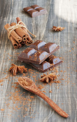 pieces of chocolate with cinnamon, anise and candied l