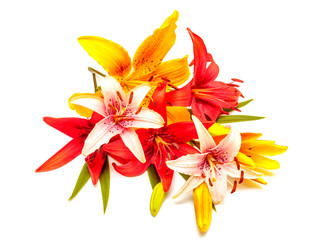 Bouquet of beautiful flowers lilies