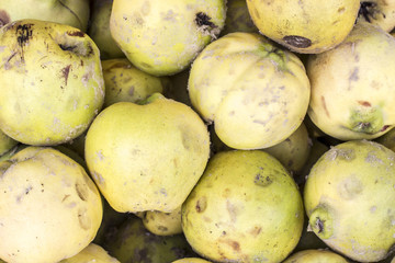 Ripe quinces in a market in Peru.