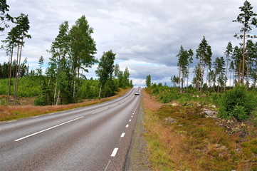 Fototapeta na wymiar Autostrasse durch Südschweden