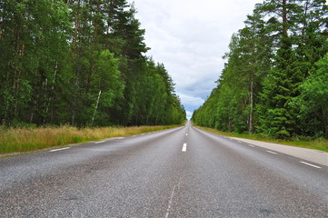 Fototapeta premium Autostrasse durch den Wald von Schweden