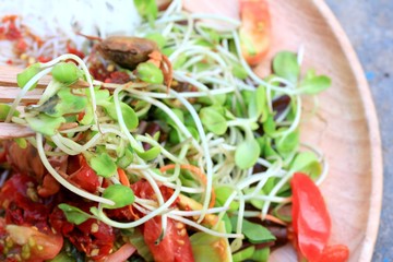 salad spicy young green sunflowers seedling - asia food