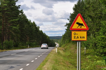Warnhinweis Elche an der Autostrasse durch den Wald in Smaland, Schweden