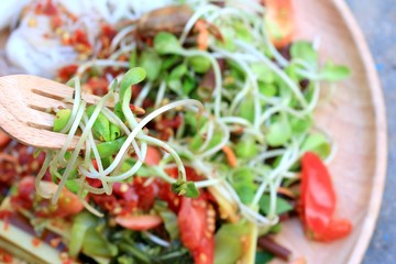 salad spicy young green sunflowers seedling - asia food
