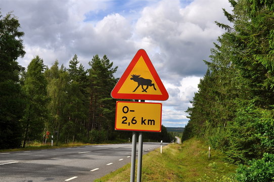 Elchschild in Skandinavien an der Autostrasse durch den Wald,