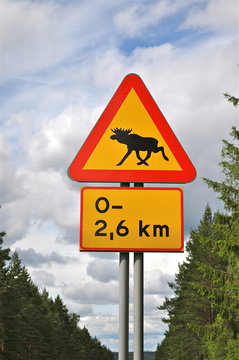 Warnzeichen "Achtung Elche" in Schweden