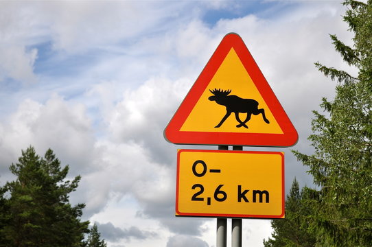 Warnschild "Elche" in Schweden