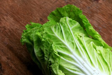 Green cabbage