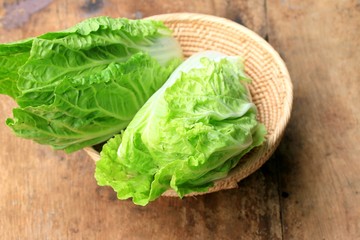 Green cabbage