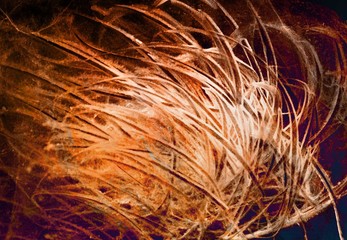 Abstract Painting with beautiful colors